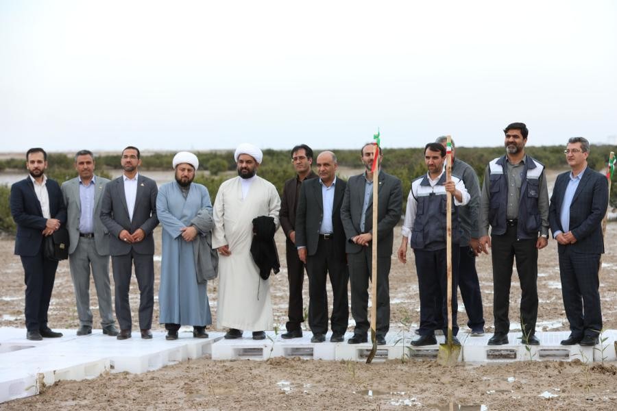 کاشت 900 هزار اصله نهال حرا در خورهای شهرستان بندرماهشهر آغاز شد